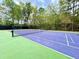 Well-maintained tennis court surrounded by trees ready for a game at 412 Hydrangea St, Summerville, SC 29483