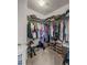 Walk-in closet with multiple shelves, hanging clothes, and carpet flooring at 449 Whispering Breeze Ln, Summerville, SC 29486
