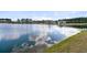 A serene lake view, featuring a grass shoreline, that exudes peacefulness and natural beauty at 552 Marsh Cv Cir, Summerville, SC 29486