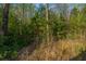 Wooded area with a variety of trees offering a private and natural setting at 9723 Flooded Field Dr, Ladson, SC 29456