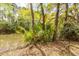 Picturesque backyard pond surrounded by lush greenery, creating a serene outdoor retreat at 1561 Montclair St, Charleston, SC 29407