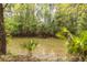 Picturesque backyard pond surrounded by lush greenery, creating a serene outdoor retreat at 1561 Montclair St, Charleston, SC 29407