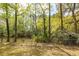 Scenic water view with trees and lush greenery, creating a relaxing atmosphere at 1561 Montclair St, Charleston, SC 29407