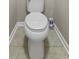 The toilet has neutral flooring and trim at 1996 Wild Indigo Way, Hanahan, SC 29410
