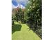 Backyard view with black metal fence at 2160 Pentland Dr, Charleston, SC 29412