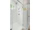 Close-up of a tiled shower with niche and a glass door with forest views at 2856 Claybrook St, Johns Island, SC 29455