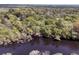Aerial shot of river and surrounding mature trees with the home on its banks at 394 Shoofly Rd, Ridgeville, SC 29472