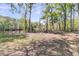 Backyard area with trees and picnic table near water at 394 Shoofly Rd, Ridgeville, SC 29472