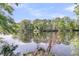 Scenic lake view with trees reflecting on the water at 394 Shoofly Rd, Ridgeville, SC 29472