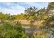 Enjoy panoramic views of the tranquil marsh from this serene vantage point, framed by lush greenery at 630 Cain Dr, Mount Pleasant, SC 29464