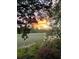 Beautiful marsh view at sunset with gorgeous trees and landscape at 630 Cain Dr, Mount Pleasant, SC 29464