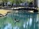 Scenic view of a pond with a goose swimming, bridge, and lush greenery, offering a serene atmosphere at 7870 Nummie Ct, North Charleston, SC 29418