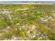 Scenic aerial view of a neighborhood featuring lush greenery and well-maintained homes at 85 Colleton Dr, Charleston, SC 29407