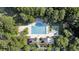 An aerial view showcases the community pool with surrounding green spaces and trees at 8618 Mcchune Ct, North Charleston, SC 29420