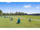 A sunny day highlights the community driving range, complete with ball stands and benches at 9447 Harroway Rd, Summerville, SC 29485