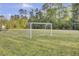 A community soccer field is lush green and ready for play, with woods as the backdrop at 9447 Harroway Rd, Summerville, SC 29485