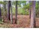 Land with mature trees and abundant natural light at 1085 Russellville Rd, Saint Stephen, SC 29479
