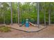 Community playground with climbing structures, slides, and picnic tables at 119 Oakbluff Rd, Summerville, SC 29485