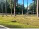 View of a fenced yard with mature trees, a white home, and a canopy at 130 Oak Crest Dr, Moncks Corner, SC 29461