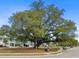 Large old oak tree in a neighborhood with houses and parked cars on a sunny day at 1479 Mossy Branch Way, Mount Pleasant, SC 29464