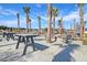 Enjoy the community picnic area with tables, a brick fire pit, and palm trees at 158 Garden Lily Ln, Summerville, SC 29485