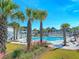 Community pool with palm trees, lounge chairs, and seating areas surrounded by beautifully landscaped grounds at 158 Garden Lily Ln, Summerville, SC 29485