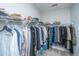 A walk-in closet has storage shelves full of shoes, purses, and clothes for a tidy bedroom at 2010 Redback Dr, Summerville, SC 29483