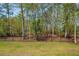 View of the property line with black metal fencing and wooded area at 2036 Yaupon Way, Johns Island, SC 29455