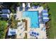 Overhead view of community pool; sun loungers, umbrellas, palm trees, and covered areas included at 204 Corvus St, Summerville, SC 29483