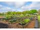 Beautiful community garden with various vegetable plots and plants at 21 Hester St # Apt 12, Charleston, SC 29403