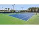 Spacious tennis courts surrounded by palm trees and greenery, perfect for recreational play at 214 Garden Gate Way, Summerville, SC 29486