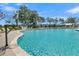 Large community pool with basketball hoop, surrounded by lush landscaping, and lounge chairs for ultimate relaxation at 2237 Tillage St, Mount Pleasant, SC 29466