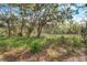 A vacant property with lush vegetation and mature trees is awaiting a new owner's vision at 322 Lantana Dr, Charleston, SC 29407