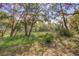 A vacant property with lush vegetation and mature trees is awaiting a new owner's vision at 322 Lantana Dr, Charleston, SC 29407