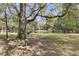 Backyard view featuring a lush lawn, large shade tree, and a serene pond at 3734 St Ellens Dr, Mount Pleasant, SC 29466