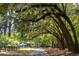 Long driveway leading to a house and pasture, framed by trees with Spanish moss at 5276 7Th Green Dr, Hollywood, SC 29449