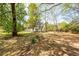 Expansive backyard featuring mature trees, a bird bath, and lush landscaping for outdoor enjoyment at 783 Dills Bluff Rd, Charleston, SC 29412