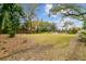 Lush green backyard featuring a well-maintained lawn and mature trees, creating a private and serene space at 803 S Main St, Summerville, SC 29483