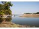 A scenic waterfront view with a small boat, marsh, and surrounding trees at 83 Blue Heron Pond Rd, Kiawah Island, SC 29455