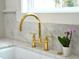 Close-up of sink with brass faucet and marble countertop under a bright window, with an orchid pot alongside at 10 Killians St, Charleston, SC 29403