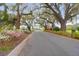 Scenic street view lined with mature oak trees and lush flowering bushes leading to a charming home at 106 Gathering Island Rd, Summerville, SC 29485