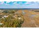 An aerial view of a residential area surrounded by water and trees on a sunny day at 116 Peninsula Dr, Ravenel, SC 29470