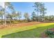 Spacious backyard with lush green grass, pine straw, scattered trees, and a distant view of the marsh at 116 Peninsula Dr, Ravenel, SC 29470