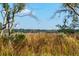 Distant view of home through marsh grass with bright sky in the background and mature trees on both sides of frame at 116 Peninsula Dr, Ravenel, SC 29470