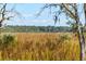 Scenic view of a grassy marsh framed by trees, showcasing the natural beauty of the surrounding landscape at 116 Peninsula Dr, Ravenel, SC 29470