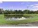 Scenic view of a community pond surrounded by lush green grass and trees on a sunny day at 123 Hyacinth St, Summerville, SC 29483