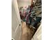 Walk in closet features built in shelving, hanging storage, and carpeted floor at 1414 N Sherwood Dr, Charleston, SC 29407