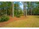 Natural backyard featuring mature trees, grassy areas, and mulched ground covering showcasing a serene landscape at 177 Thousand Oaks Cir, Goose Creek, SC 29445