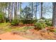 Secluded backyard featuring blooming azaleas, mature trees, and lush green grass at 2 Townpark Ln # D, Charleston, SC 29412