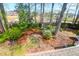 Backyard shot from above featuring trees, plants, and a brown needle covered ground at 2 Townpark Ln # D, Charleston, SC 29412